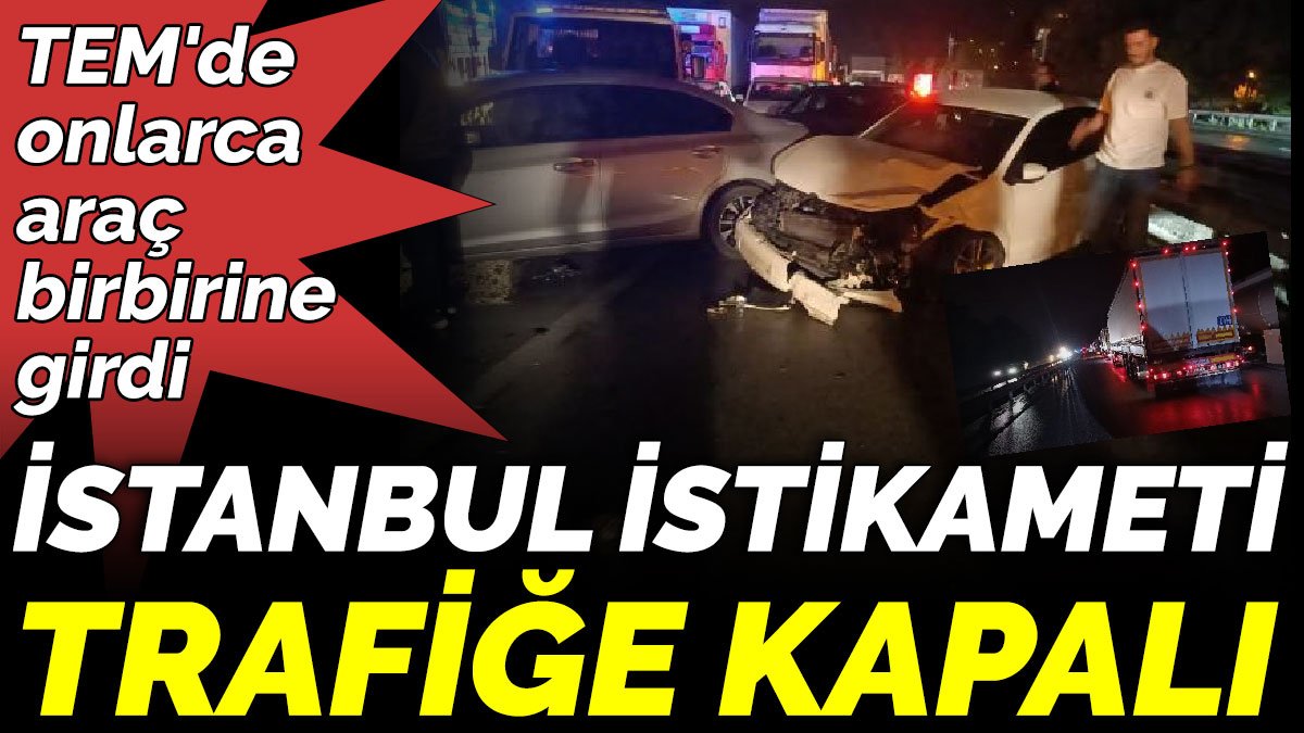 TEM'de onlarca araç birbirine girdi; İstanbul istikameti trafiğe kapalı