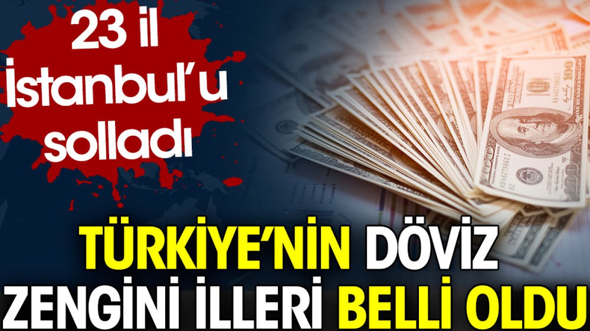 Türkiye’nin döviz zengini illeri belli oldu. 23 il İstanbul’u solladı