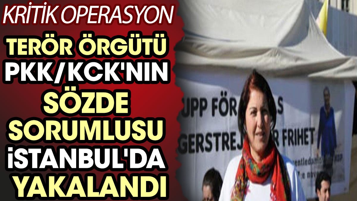 MİT ve Emniyet'ten kritik operasyon! PKK'lı Şirin Tokpınar İstanbul yakalandı
