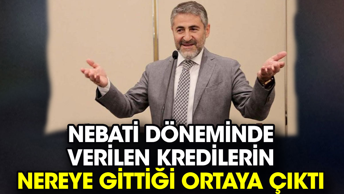 Nebati döneminde verilen kredilerin nereye gittiği ortaya çıktı