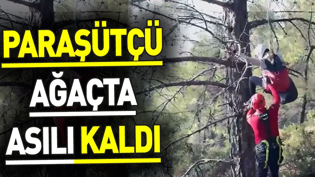 Paraşütçü ağaçta asılı kaldı