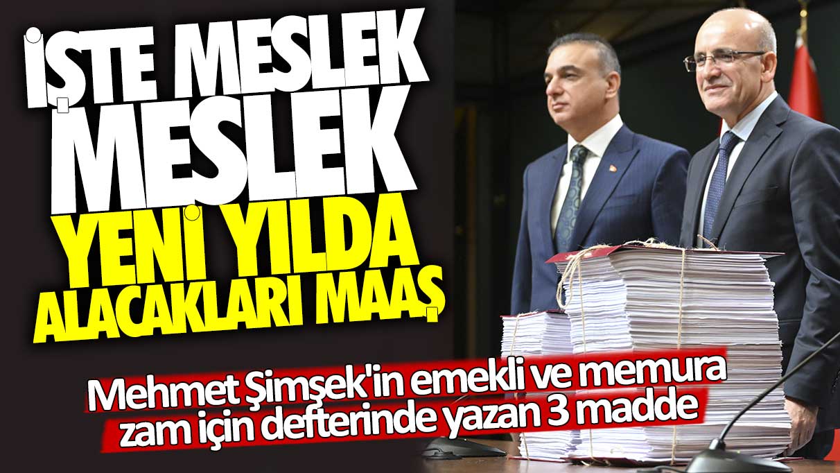 Mehmet Şimşek'in emekli ve memura zam için defterinde yazan 3 madde! İşte meslek meslek yeni yılda alacakları maaş