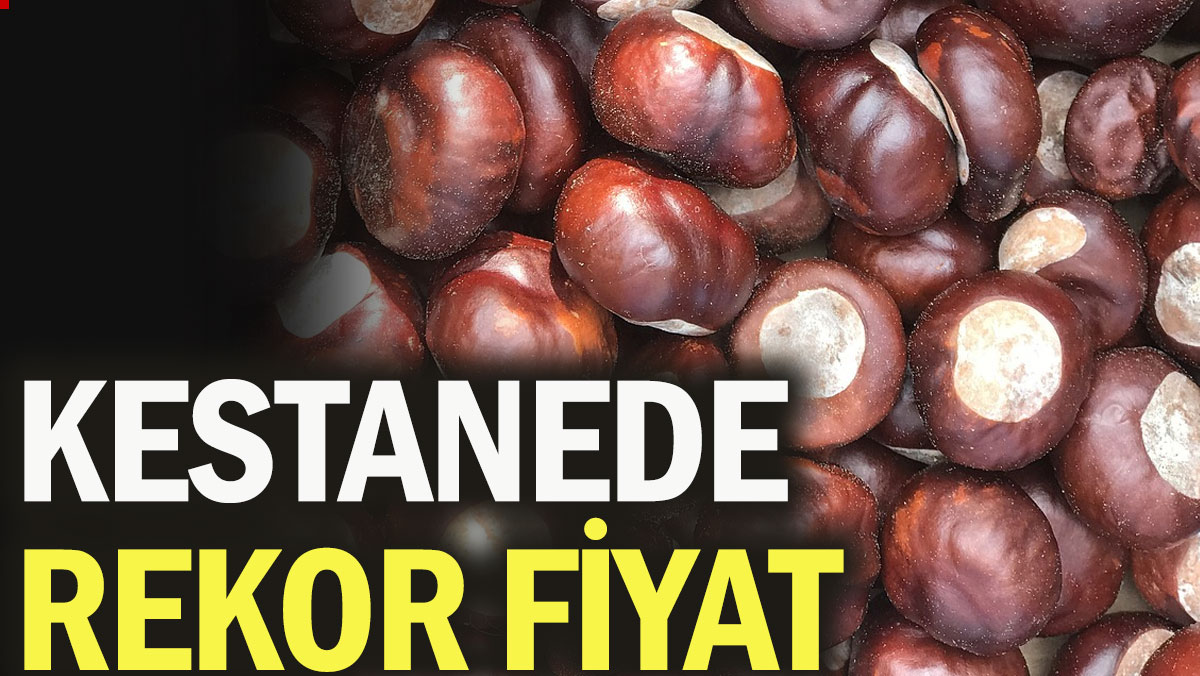 Kestanede rekor fiyat