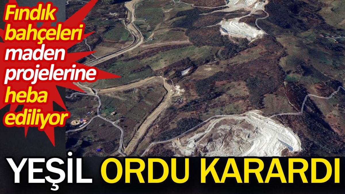 Yeşil Ordu karardı. Fındık bahçeleri maden projelerine heba ediliyor