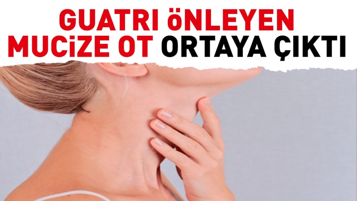 Guatrı önleyen mucize ot ortaya çıktı