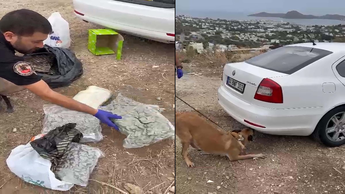 Otomobile gizlenen uyuşturucuyu narkotik köpeği ‘Tina’ buldu