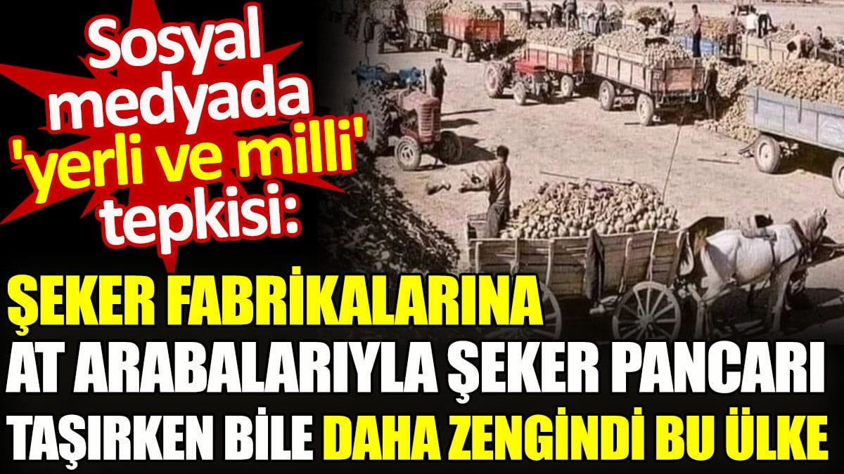 Sosyal medyada 'yerli ve milli' tepkisi: Şeker fabrikalarına at arabalarıyla şeker pancarı taşırken bile daha zengindi bu ülke