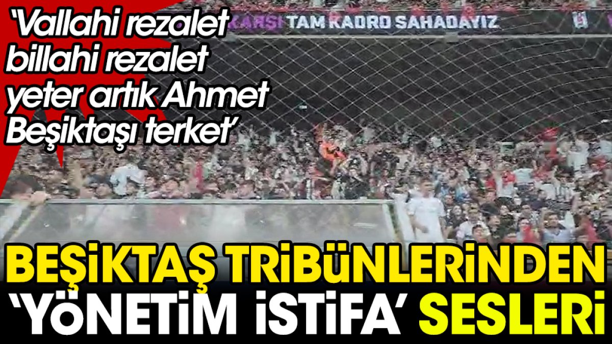 Beşiktaş tribünlerinden 'Yönetim istifa' sesleri. Taraftarlar hep bir ağızdan yönetimi protesto etti