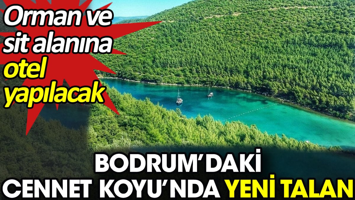 Bodrum’daki Cennet Koyu’nda yeni talan. Orman ve sit alanına otel yapılacak