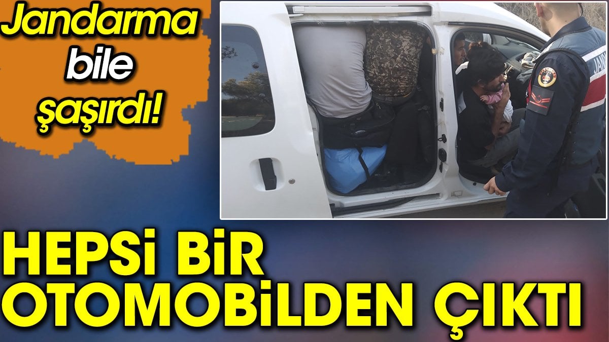 Hepsi bir otomobilden çıktı, jandarma bile şaşırdı