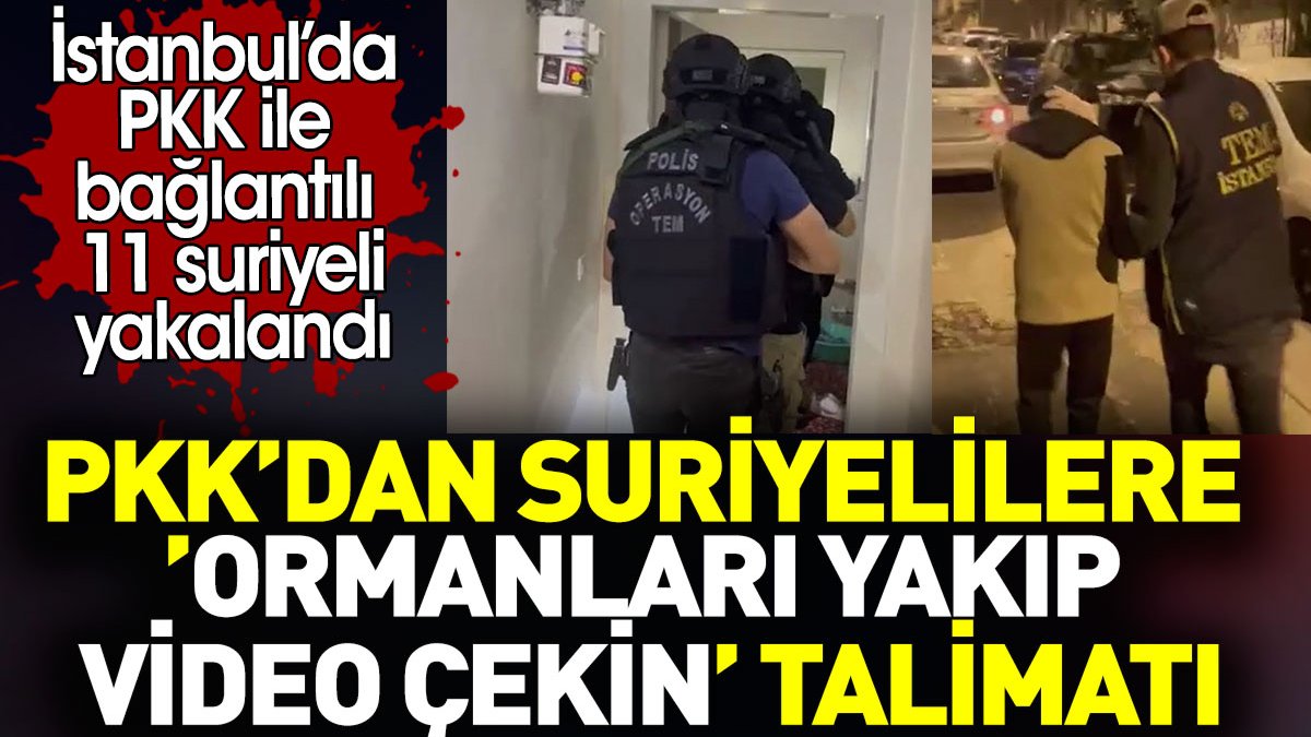 PKK’dan Suriyelilere ‘ormanları yakın video çekin' talimatı. İstanbul’da 11 Suriyeli yakalandı