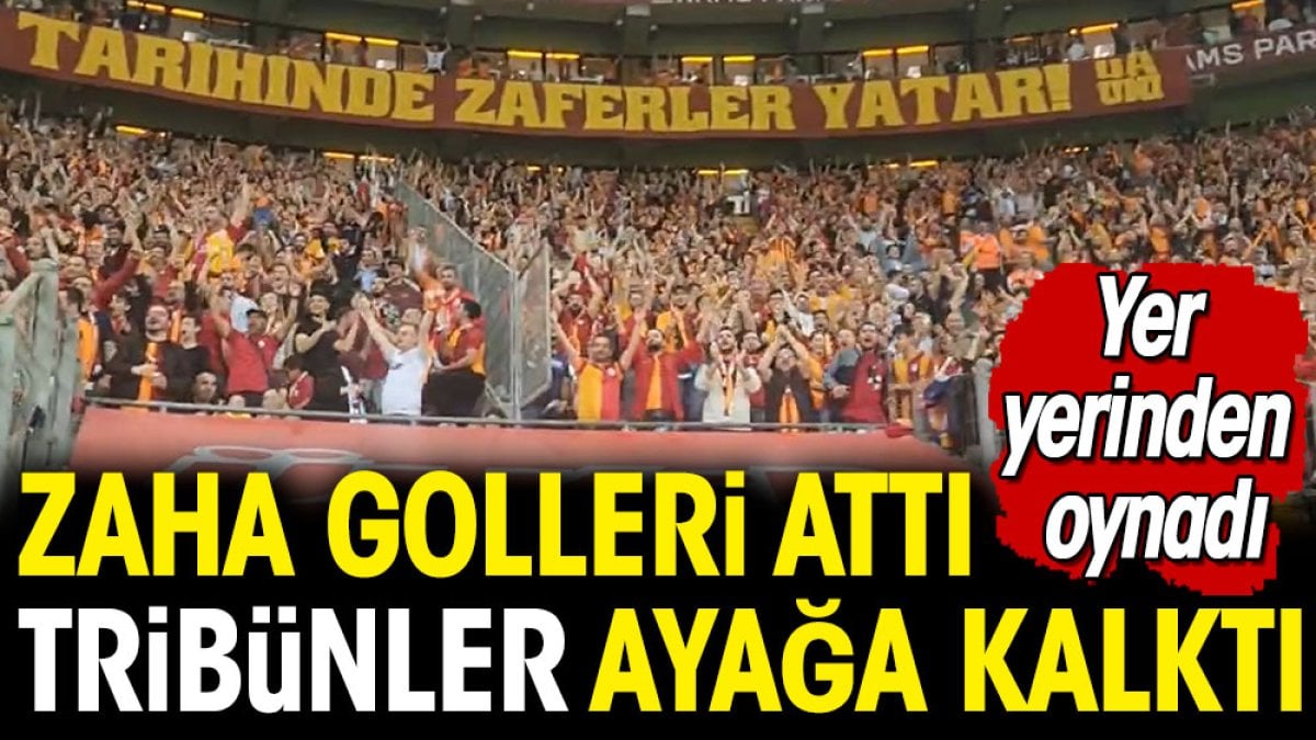 Zaha golleri attı tribünler ayağa kalktı. Yer yerinden oynadı