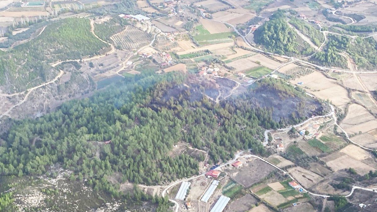 Yatağan’daki orman yangınında 4 hektar alan zarar gördü