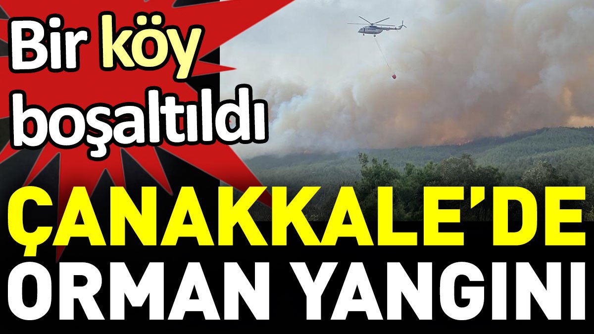 Çanakkale'de orman yangını. Bir köy boşaltıldı
