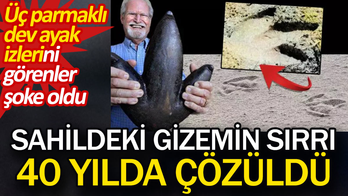 Sahildeki gizemin sırrı 40 yılda çözüldü. Üç parmaklı dev ayak izlerini görenler şoke oldu