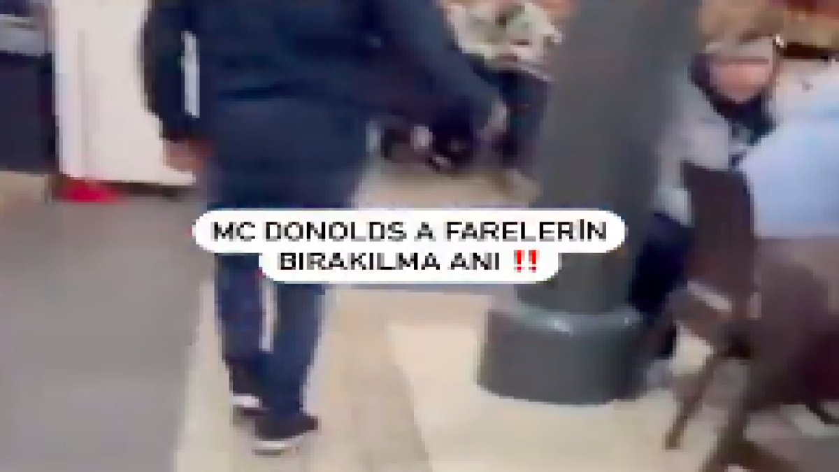 İstanbul'da McDonalds şubesine fareli saldırı: "Müslümanların etlerini değil bu fareleri yiyin"