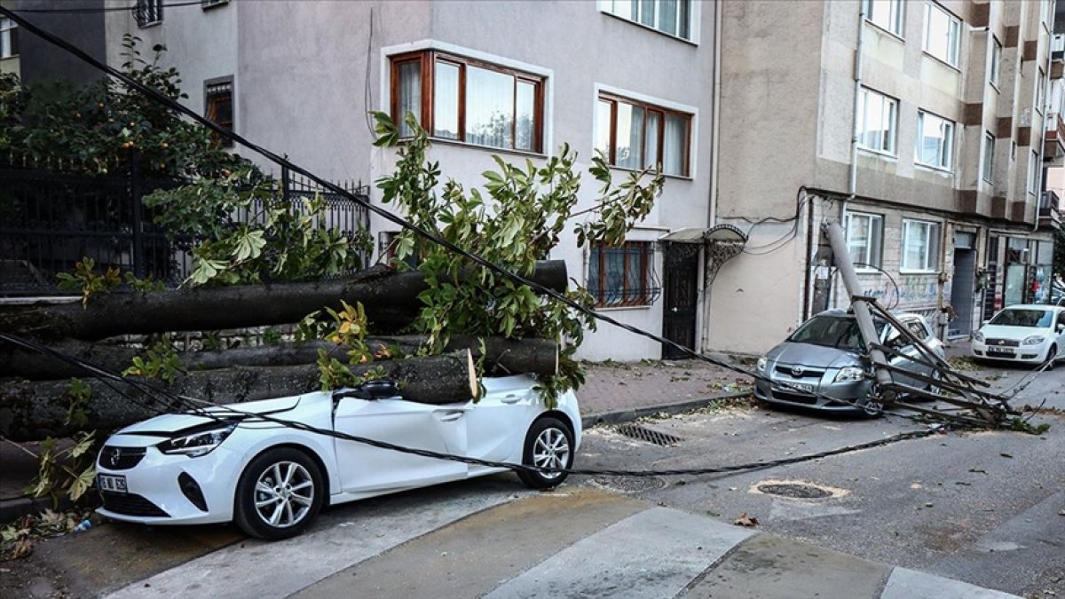 Bursa'da lodos! Ağaç ve elektrik direği araçların üzerine devrildi