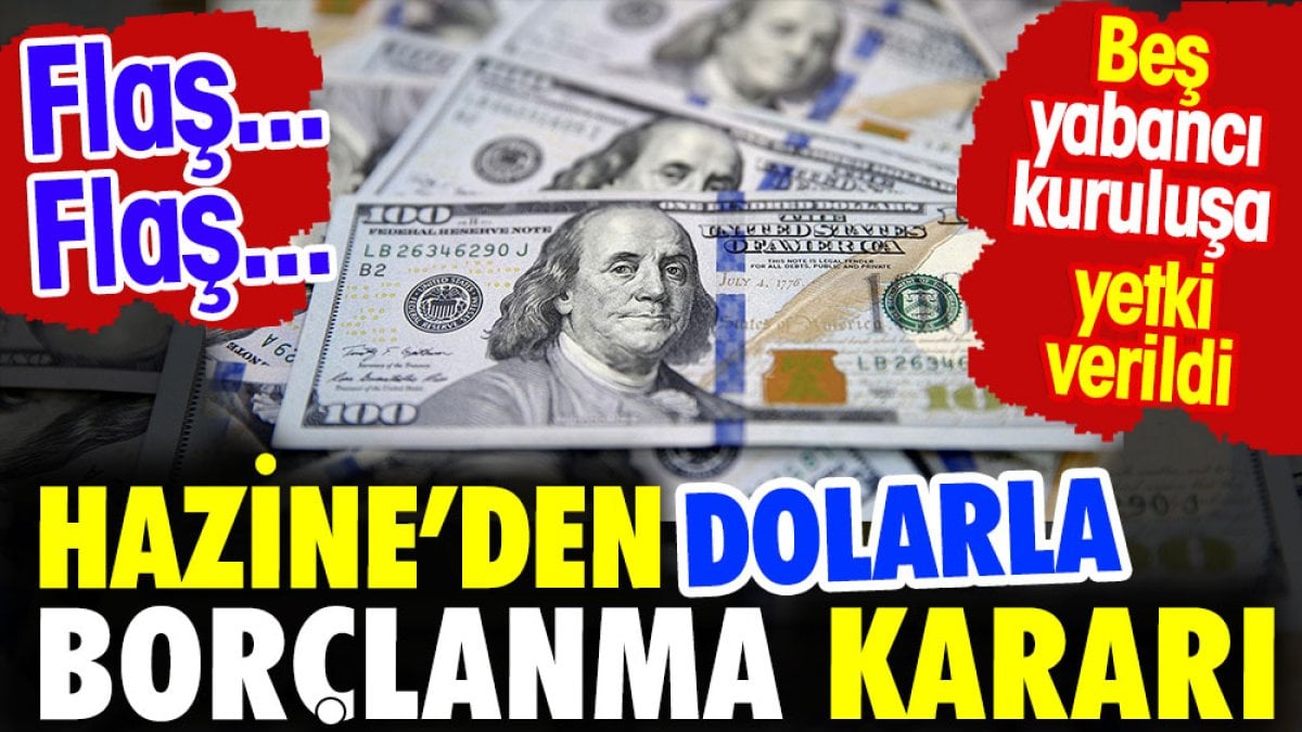 Hazine'den dolarla borçlanma kararı. 5 yabancı kuruluşa yetki verildi