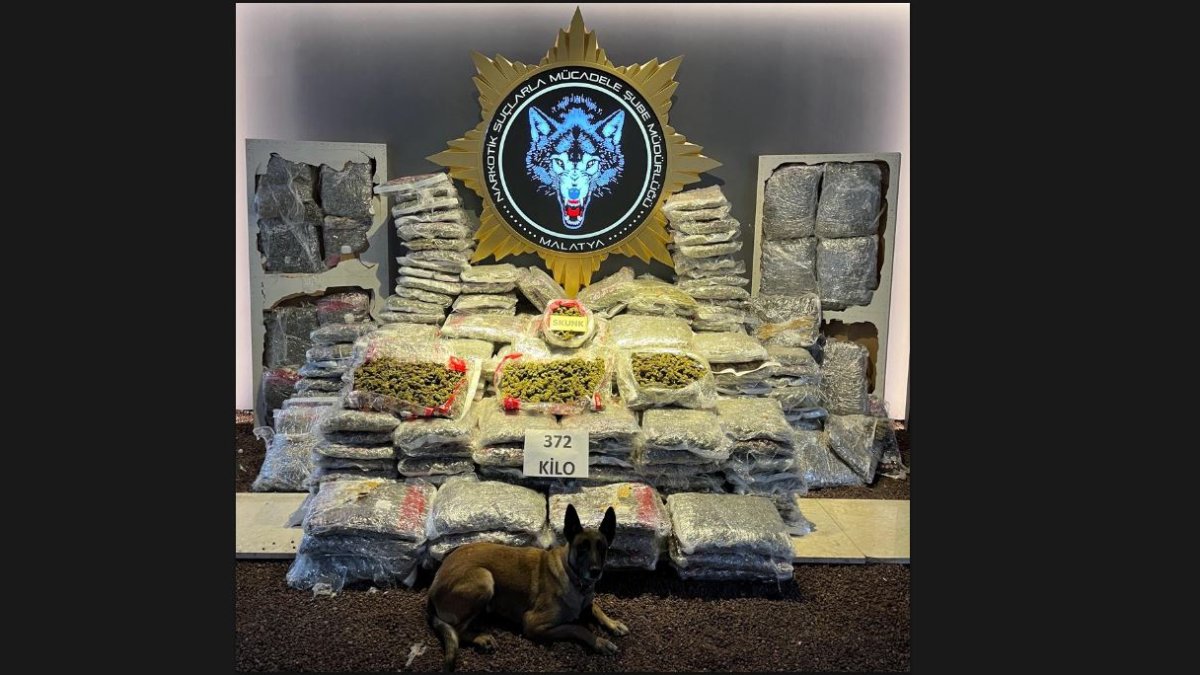 Kamyon kasasına gizlenin uyuşturucuyu narkotik köpeği buldu! Tam 372 kilo…
