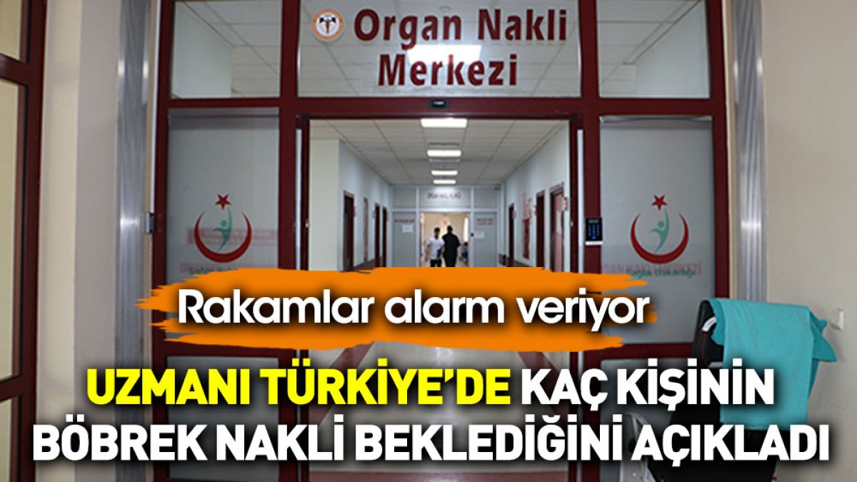 Uzmanı Türkiye’de kaç kişinin böbrek nakli beklediğini açıkladı