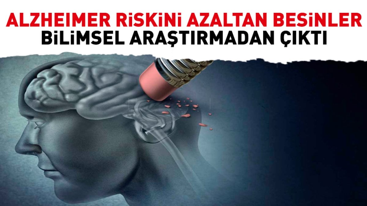 Alzheimer riskini azaltan besinler bilimsel araştırmadan çıktı