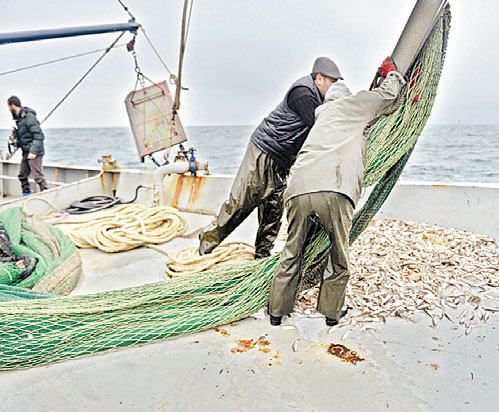 Batı Karadeniz’de balıkçılar avdan eli boş dönüyor