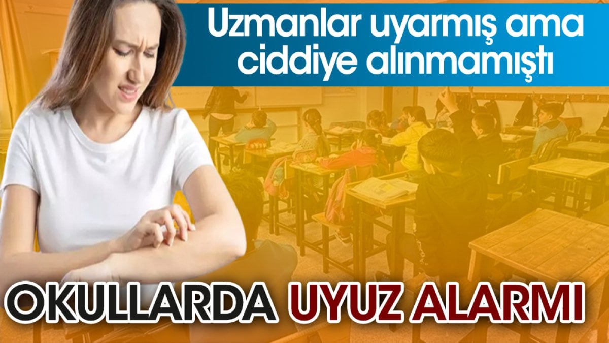 Uzmanlar uyarmış ama ciddiye alınmamıştı. Okullarda uyuz alarmı