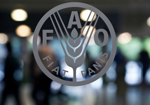 FAO: Fiyatlar 4,5 yılın dibinde