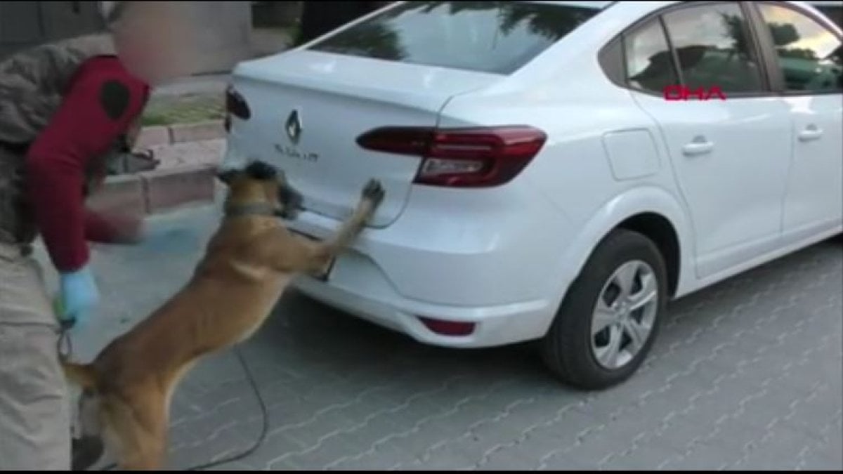 Bavul ve otomobilin gizli bölmelerindeki uyuşturucuyu 'Pako' buldu