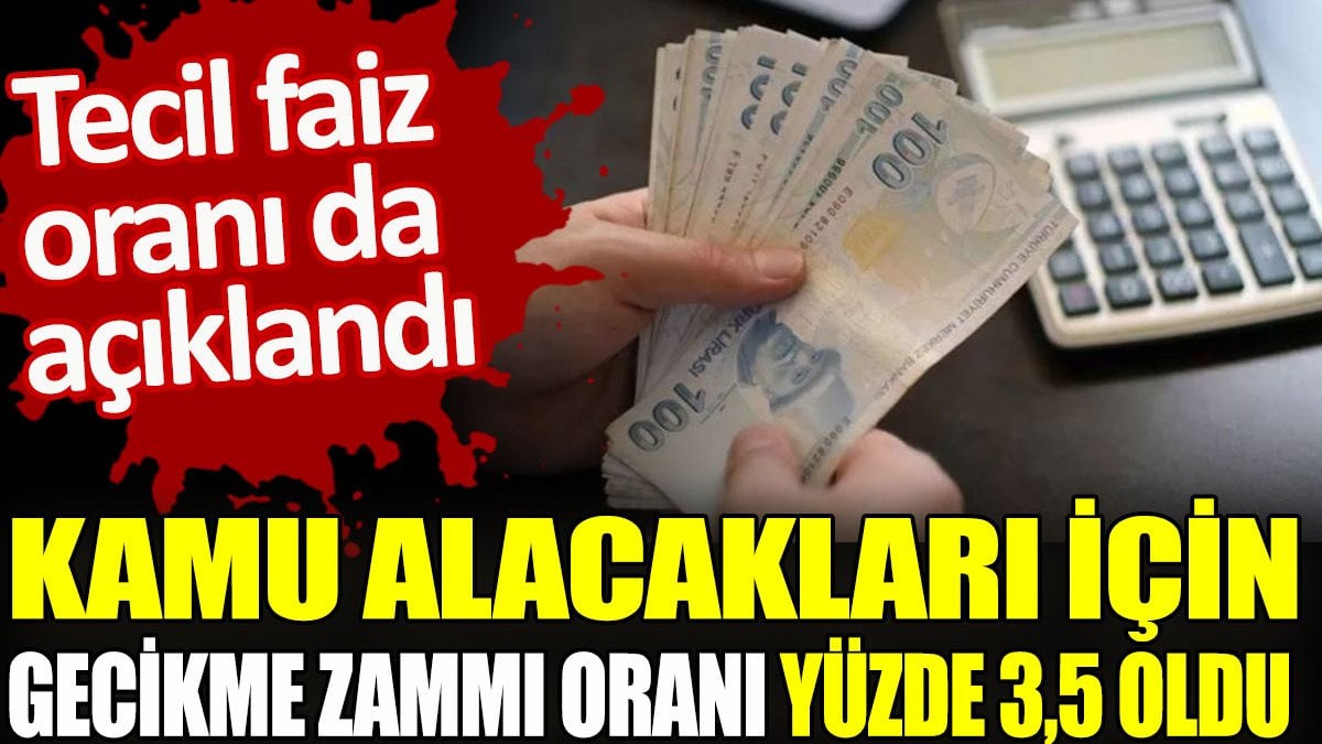 Kamu alacakları için gecikme zammı oranı yüzde 3,5 oldu