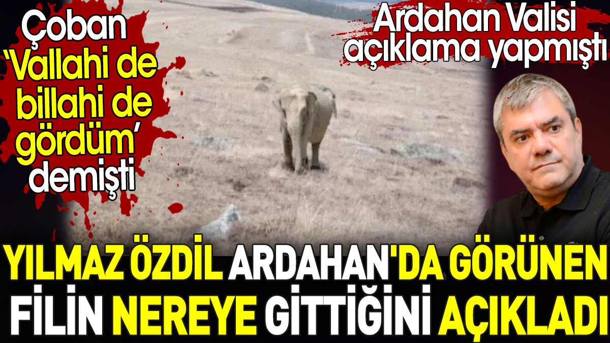 Yılmaz Özdil Ardahan'da görünen filin nereye gittiği açıkladı. Çoban 'vallahi de gördüm' demişti