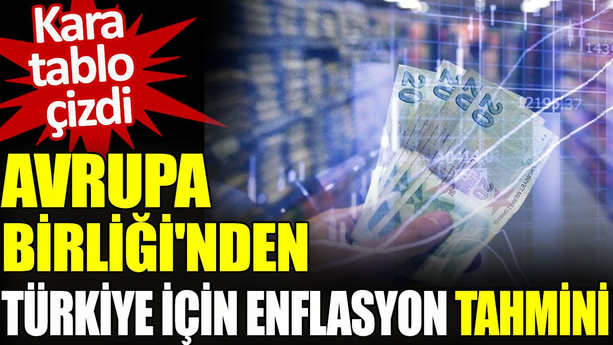 Avrupa Birliği'nden Türkiye için enflasyon tahmini