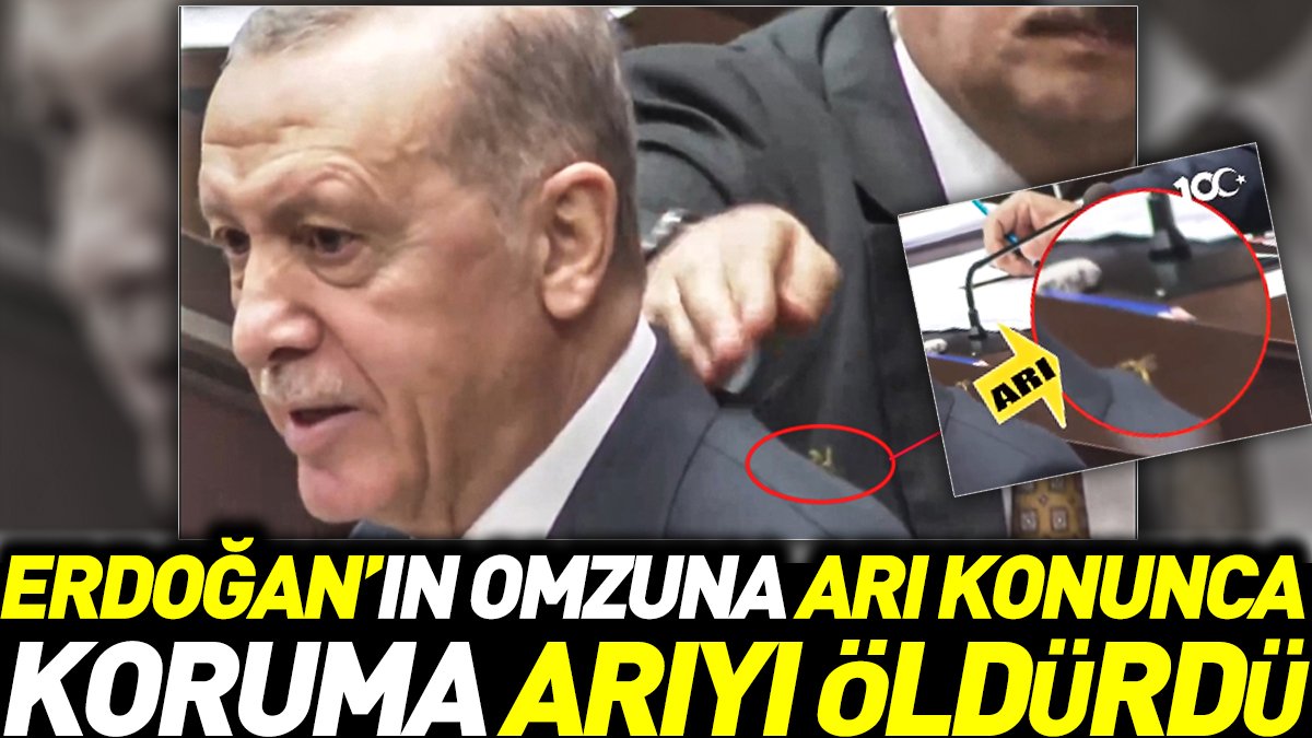 Erdoğan'ın omzuna arı konunca koruma arıyı öldürdü