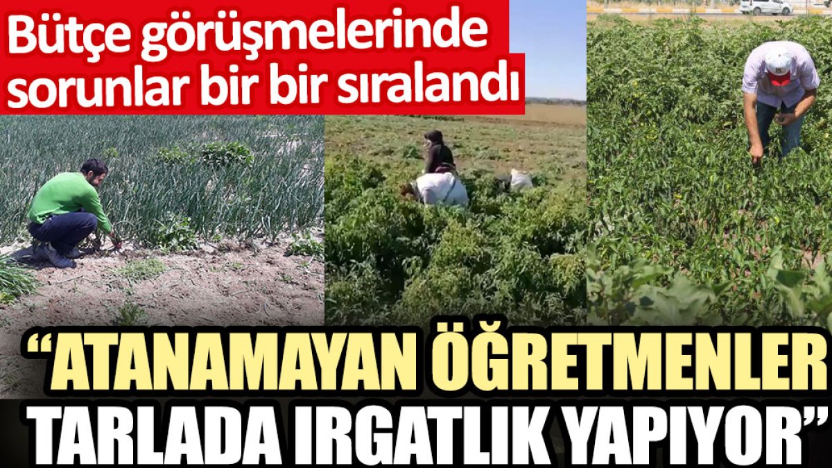 Atanamayan öğretmenler tarlada ırgatlık yapıyor. Bütçe görüşmelerinde sorunlar bir bir sıralandı