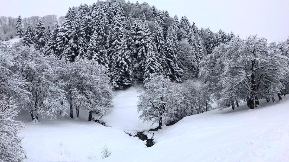 Üç ilde kar yağışı, meteoroloji uyardı