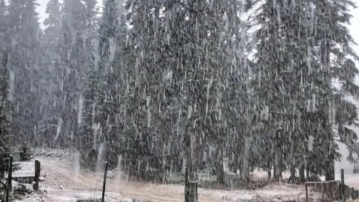 Bartın ve Zonguldak'ta mevsimin ilk kar yağışı başladı