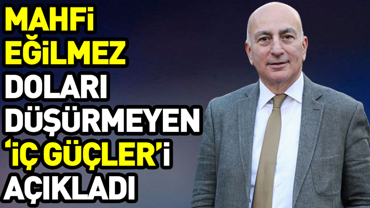 Mahfi Eğilmez doları düşürmeyen ‘iç güçleri’ açıkladı