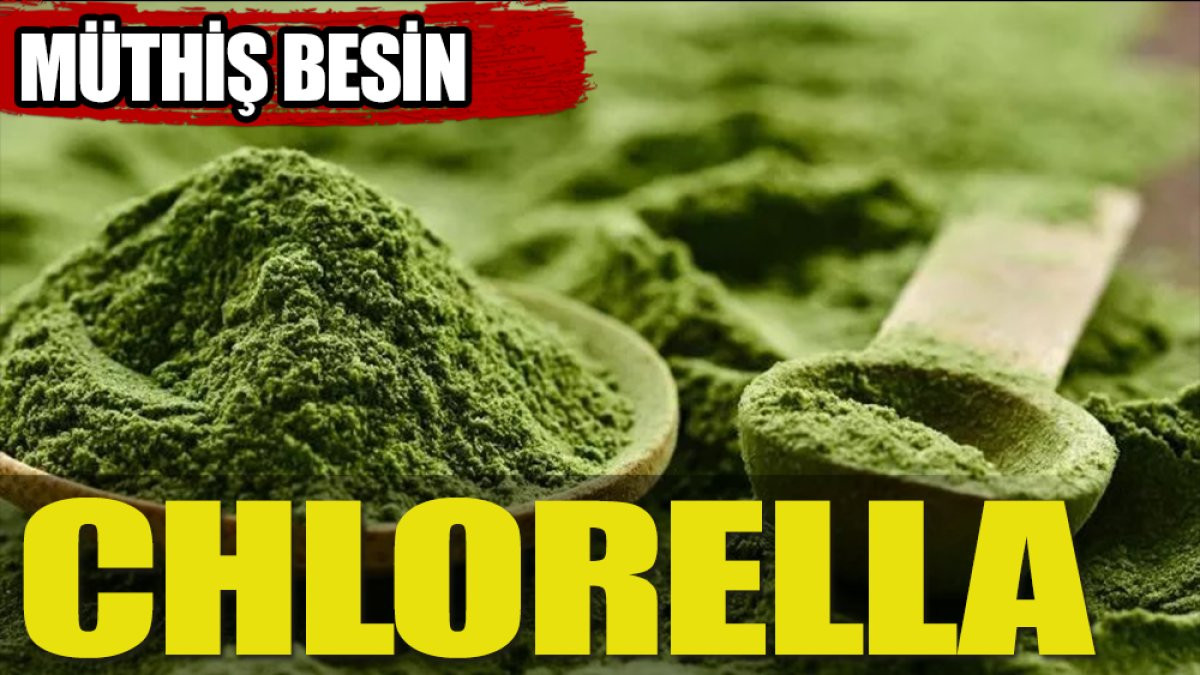 Chlorella neye iyi gelir?