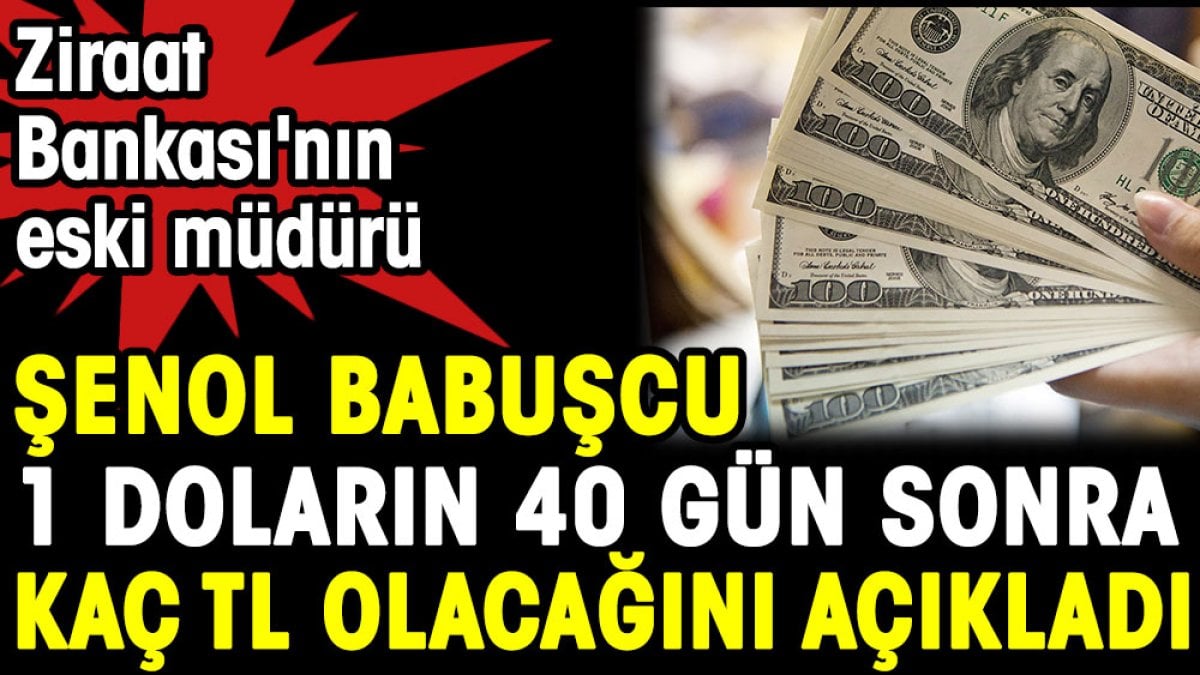 Şenol Babuşcu 1 doların 40 gün sonra kaç TL olacağını duyurdu