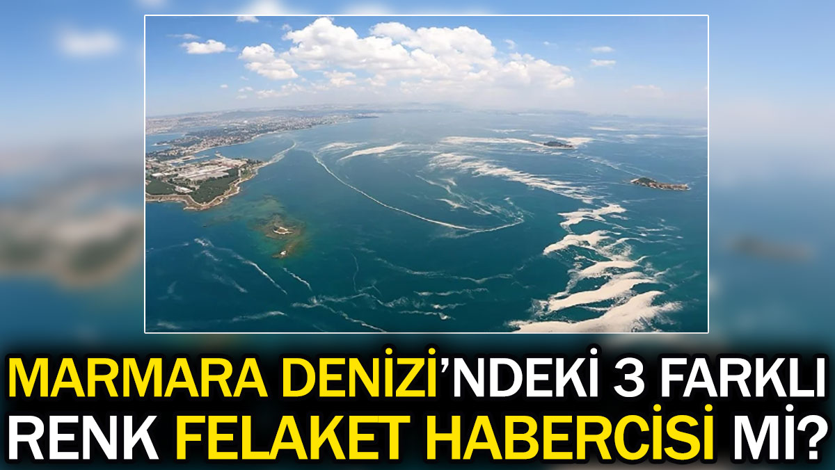 Marmara Denizi'ndeki 3 farklı renk felaket habercisi mi?