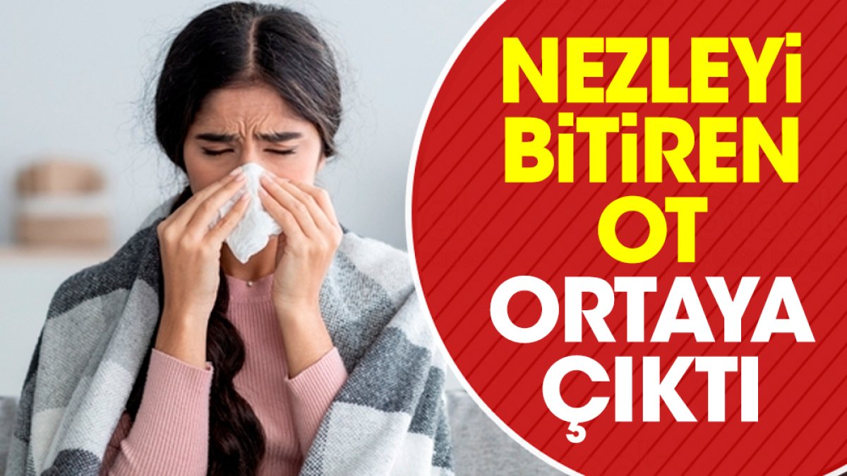 Nezleyi bitiren ot ortaya çıktı