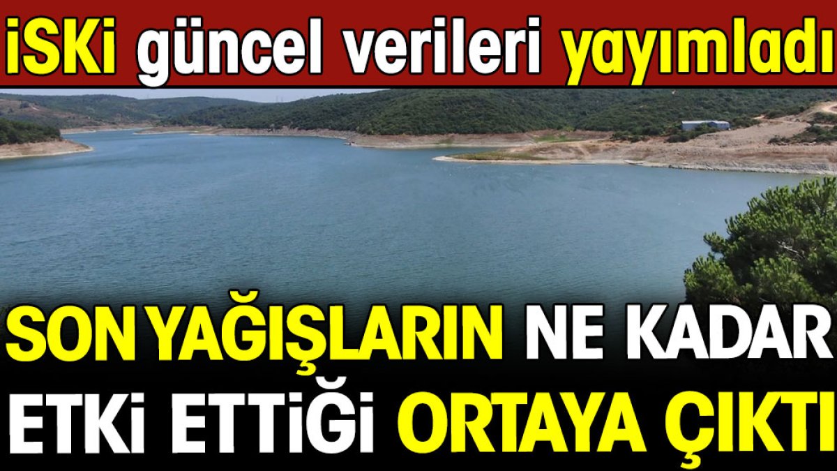 Son yağışların İstanbul'daki barajlara ne kadar etki ettiği ortaya çıktı