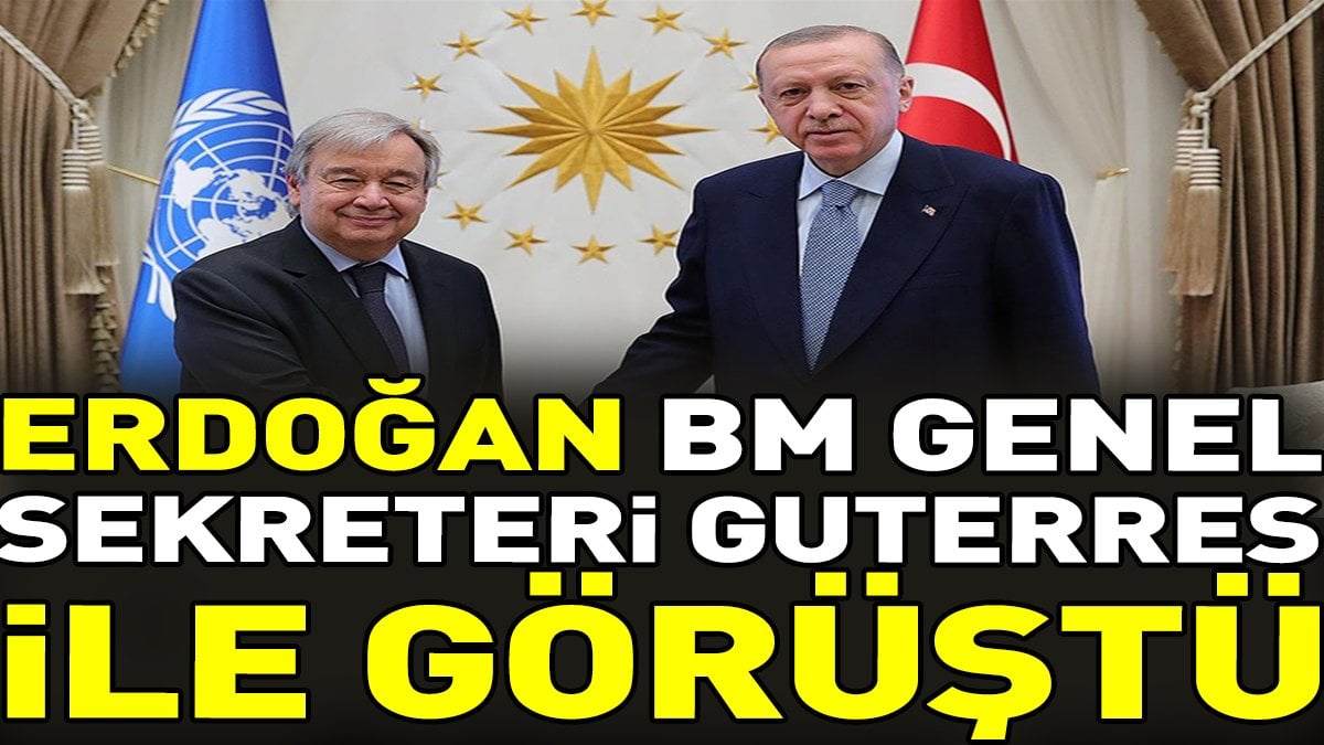 Erdoğan BM Genel Sekreteri Guterres ile görüştü