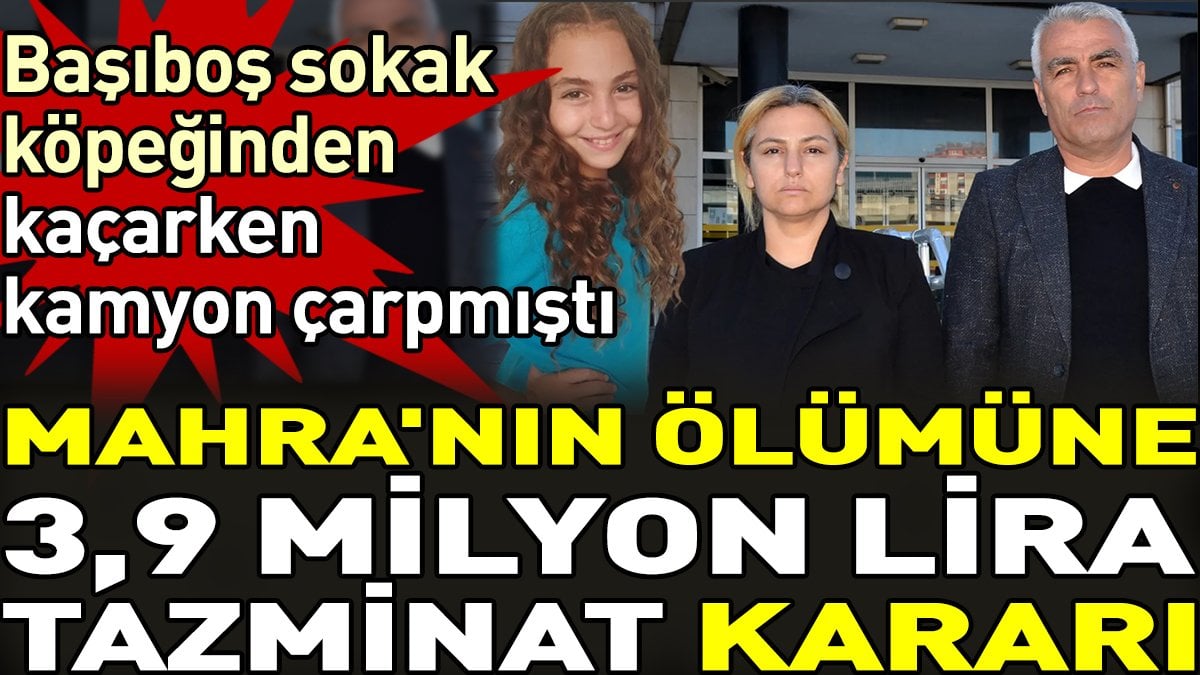 Başıboş sokak köpeğinden kaçarken kamyon çarpmıştı. Mahra'nın ölümüne 3,9 milyon lira tazminat kararı