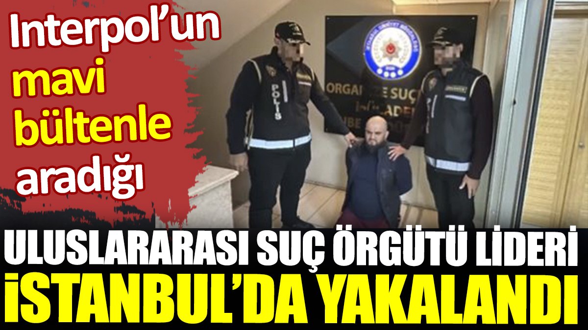 Mavi bültenle aranan suç örgütü lideri İstanbul'da yakalandı