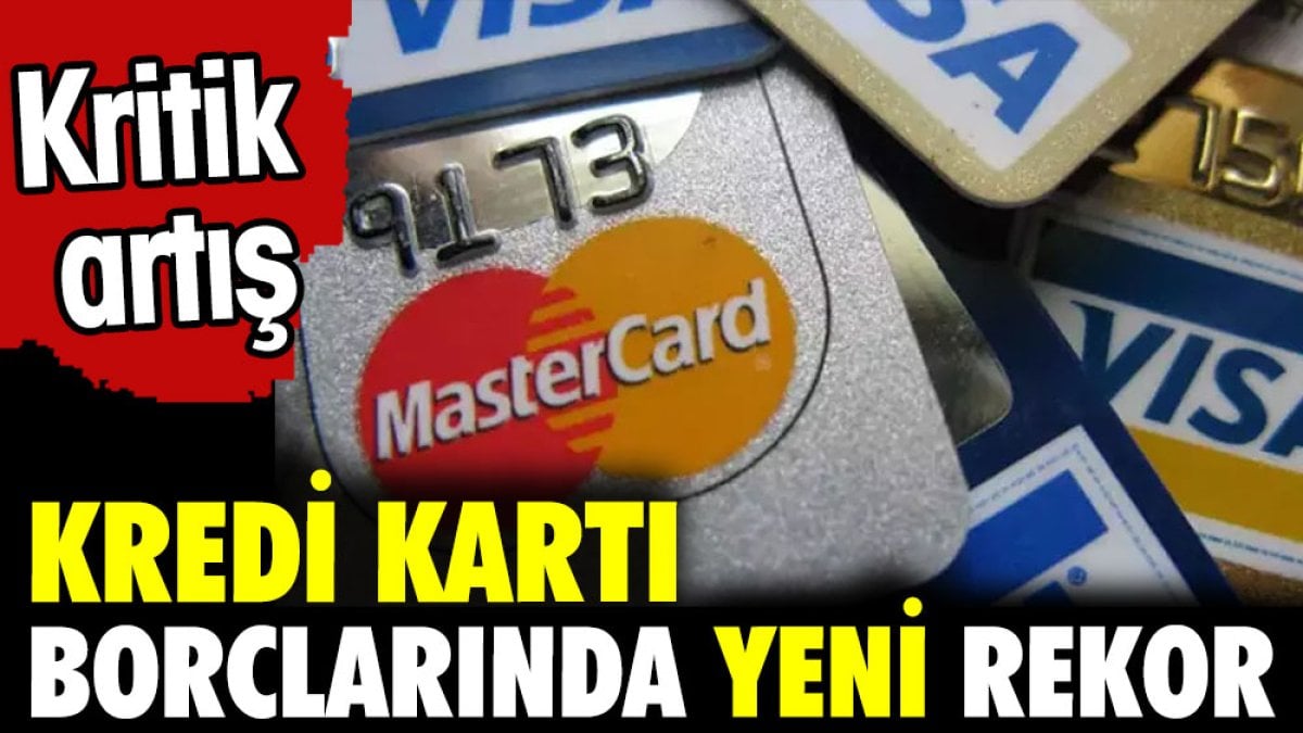 Kredi kartı borçlarında yeni rekor. Yüzde 133,7'lik kritik artış