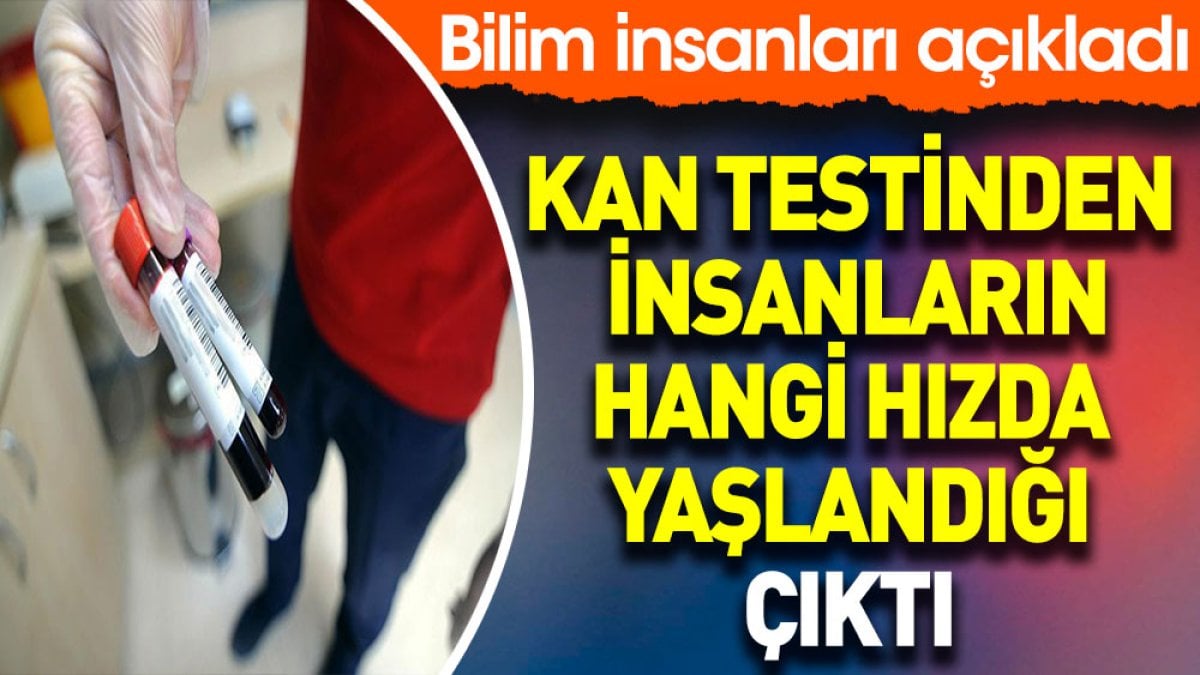 Kan testinden insanların hangi hızda yaşlandığı çıktı. Bilim insanları açıkladı