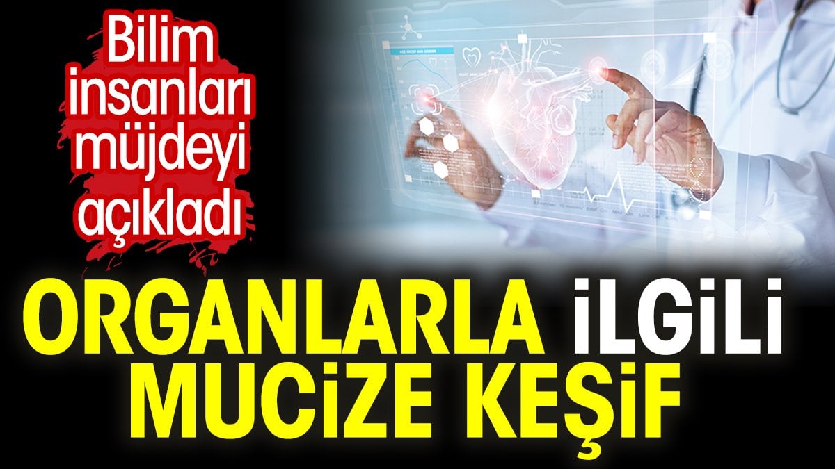 Organlarla ilgili mucize keşif. Bilim insanları müjdeyi açıkladı