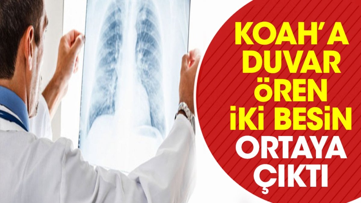 KOAH’a duvar ören iki besin ortaya çıktı