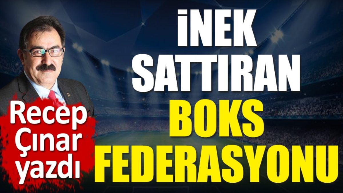 İnek sattıran boks federasyonu. Recep Çınar yazdı